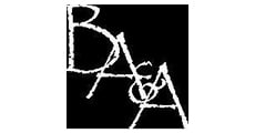 Bonin Architects & Associates, PLLC Logo